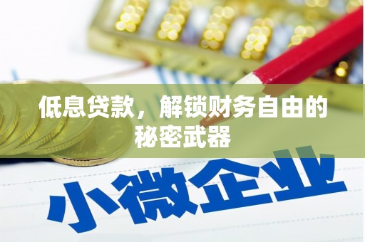 遵化低息贷款，解锁财务自由的秘密武器