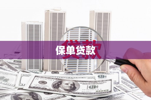 遵化保单贷款