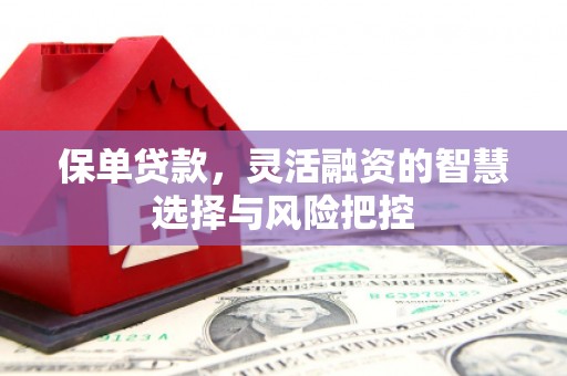 遵化保单贷款，灵活融资的智慧选择与风险把控