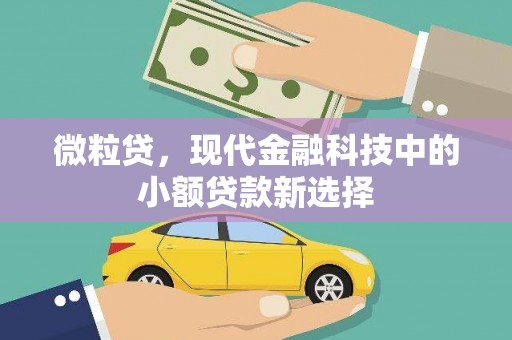 遵化微粒贷，现代金融科技中的小额贷款新选择