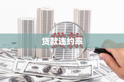 遵化贷款违约率