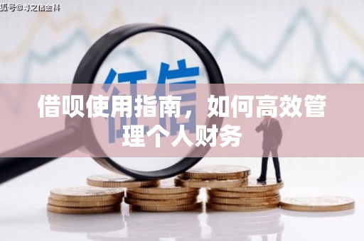 遵化借呗使用指南，如何高效管理个人财务