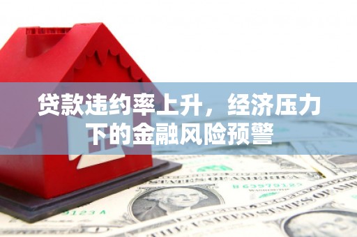 遵化贷款违约率上升，经济压力下的金融风险预警