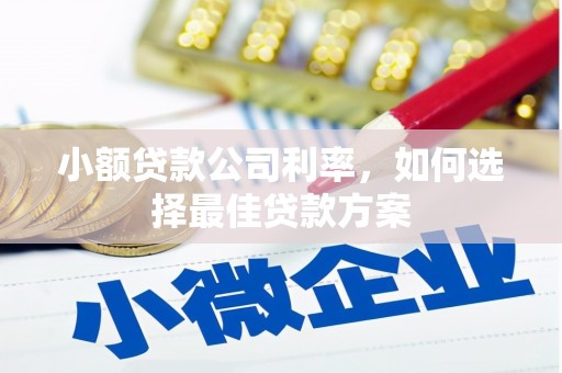 遵化小额贷款公司利率，如何选择最佳贷款方案