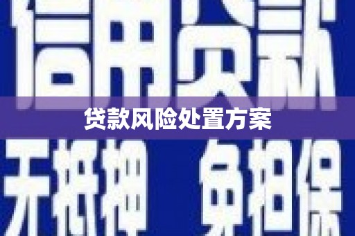 遵化贷款风险处置方案