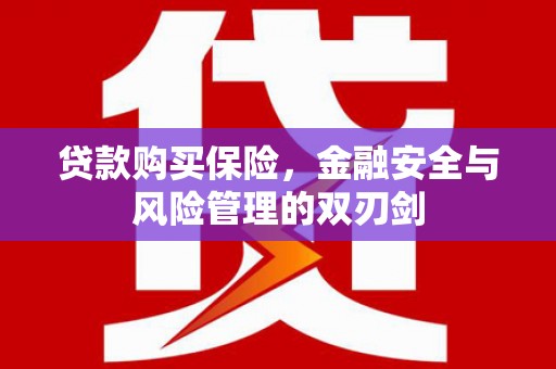 遵化贷款购买保险，金融安全与风险管理的双刃剑