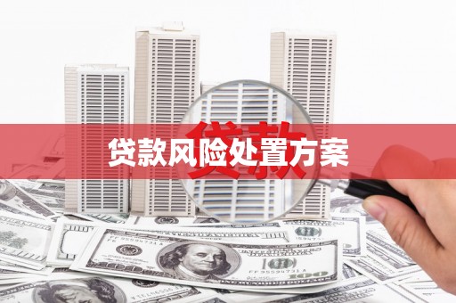 遵化贷款风险处置方案
