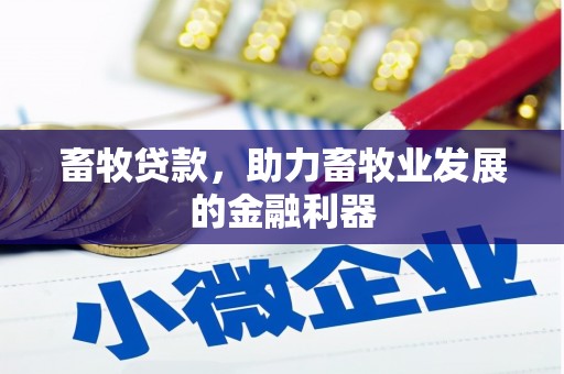 遵化畜牧贷款，助力畜牧业发展的金融利器