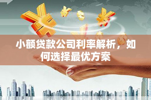 遵化小额贷款公司利率解析，如何选择最优方案