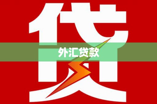 遵化外汇贷款