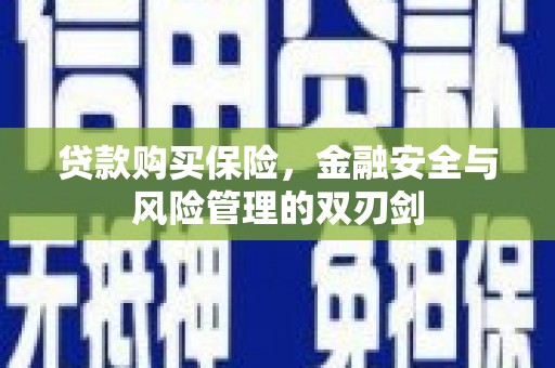 遵化贷款购买保险，金融安全与风险管理的双刃剑