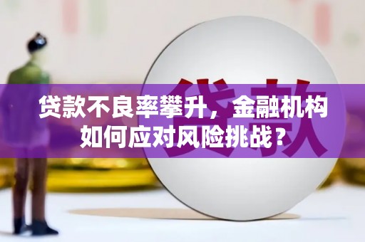 遵化贷款不良率攀升，金融机构如何应对风险挑战？