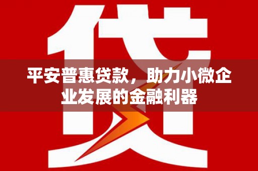 遵化平安普惠贷款，助力小微企业发展的金融利器