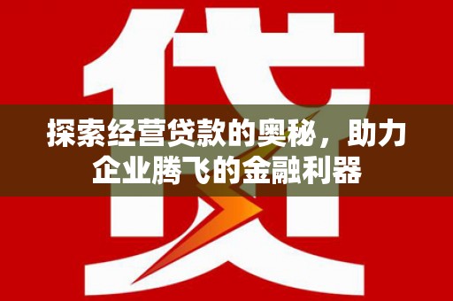 遵化探索经营贷款的奥秘，助力企业腾飞的金融利器