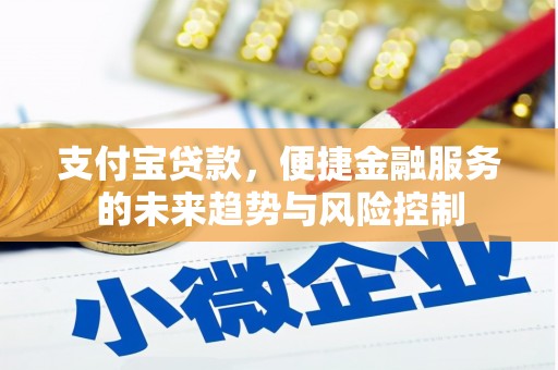 遵化支付宝贷款，便捷金融服务的未来趋势与风险控制