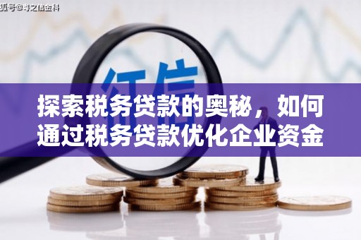 遵化探索税务贷款的奥秘，如何通过税务贷款优化企业资金流