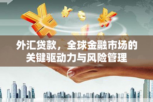 遵化外汇贷款，全球金融市场的关键驱动力与风险管理