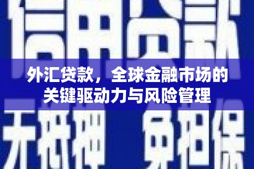 遵化外汇贷款，全球金融市场的关键驱动力与风险管理