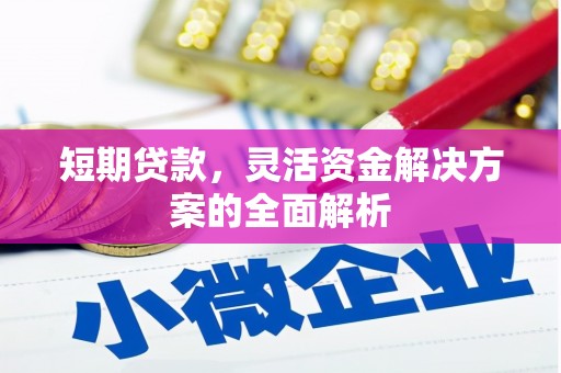 遵化短期贷款，灵活资金解决方案的全面解析