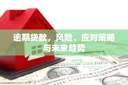 遵化逾期贷款，风险、应对策略与未来趋势