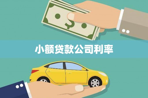 遵化小额贷款公司利率