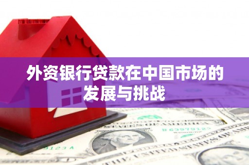 遵化外资银行贷款在中国市场的发展与挑战