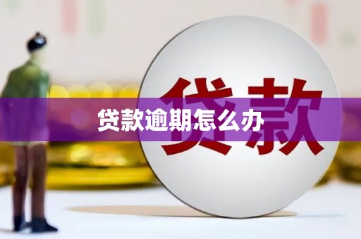 遵化贷款逾期怎么办