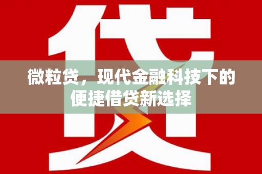 遵化微粒贷，现代金融科技下的便捷借贷新选择