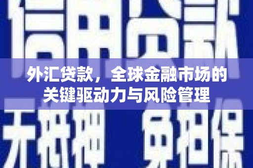 遵化外汇贷款，全球金融市场的关键驱动力与风险管理