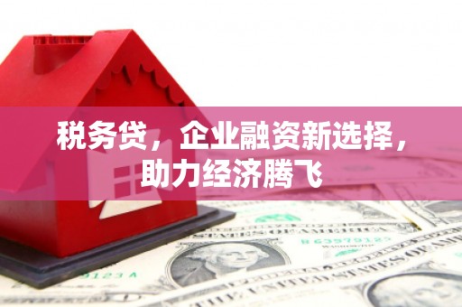 遵化税务贷，企业融资新选择，助力经济腾飞