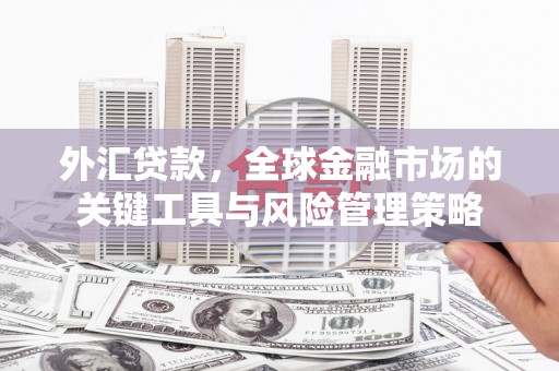 遵化外汇贷款，全球金融市场的关键工具与风险管理策略