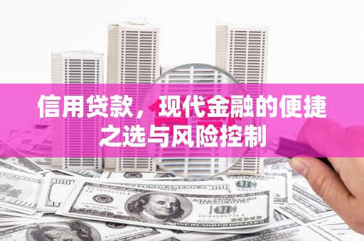 遵化信用贷款，现代金融的便捷之选与风险控制