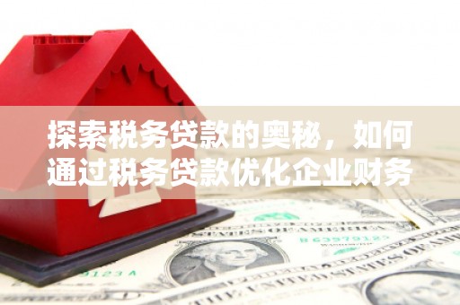 遵化探索税务贷款的奥秘，如何通过税务贷款优化企业财务