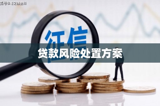 遵化贷款风险处置方案