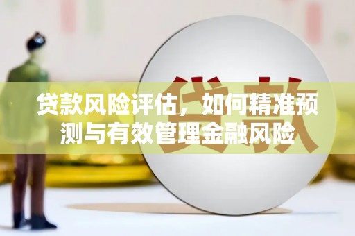 遵化贷款风险评估，如何精准预测与有效管理金融风险