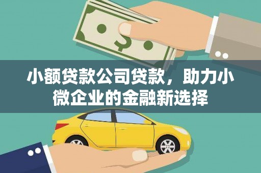 遵化小额贷款公司贷款，助力小微企业的金融新选择