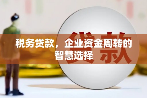 遵化税务贷款，企业资金周转的智慧选择