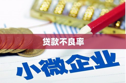 遵化贷款不良率