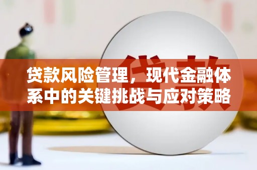 遵化贷款风险管理，现代金融体系中的关键挑战与应对策略