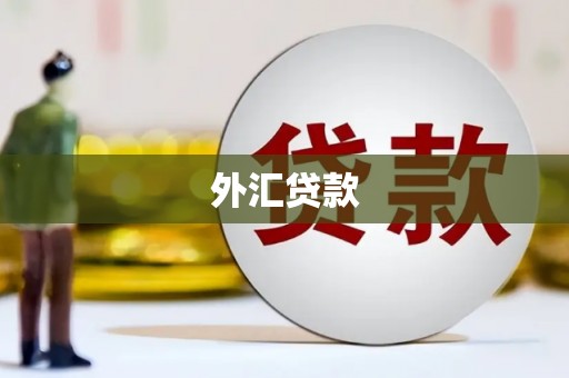 遵化外汇贷款