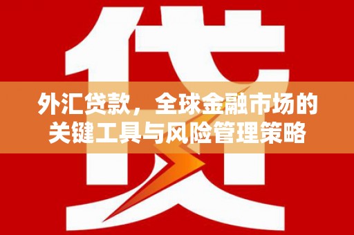 遵化外汇贷款，全球金融市场的关键工具与风险管理策略