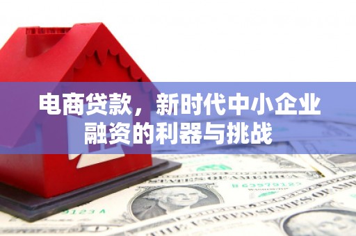 遵化电商贷款，新时代中小企业融资的利器与挑战