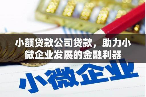 遵化小额贷款公司贷款，助力小微企业发展的金融利器