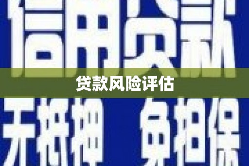 遵化贷款风险评估