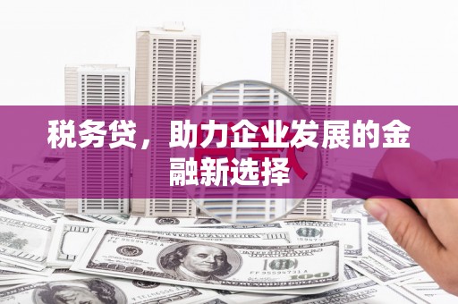 遵化税务贷，助力企业发展的金融新选择