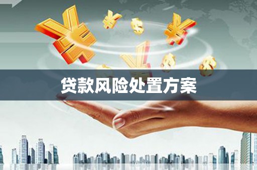 遵化贷款风险处置方案