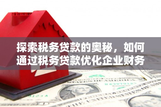 遵化探索税务贷款的奥秘，如何通过税务贷款优化企业财务