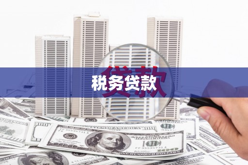 遵化税务贷款