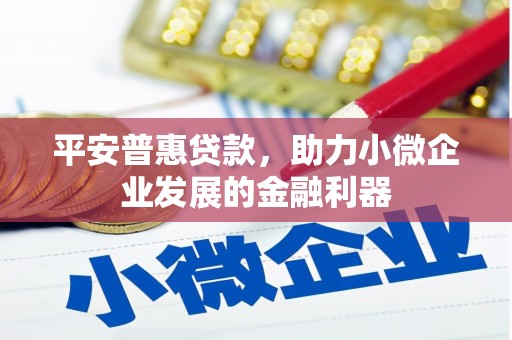 遵化平安普惠贷款，助力小微企业发展的金融利器