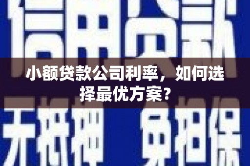 遵化小额贷款公司利率，如何选择最优方案？